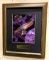 Framed Star Trek 