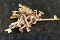 20+ Vintage Skeleton Keys
