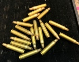 18 .223 Blanks Scare the Zombies away