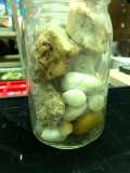 Jar of Rocks and More