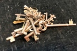 20+ Vintage Skeleton Keys
