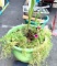 Large Green Planter with Flowers 23