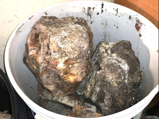 Rocks from 73 year old Collection - from Lakewood Estate - 50lbs