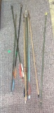 Collection of Arrows - Some with Usual Tips
