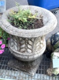 Cement Planter with a Fern 23