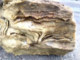 12.5 lb Piece of Petrified Wood