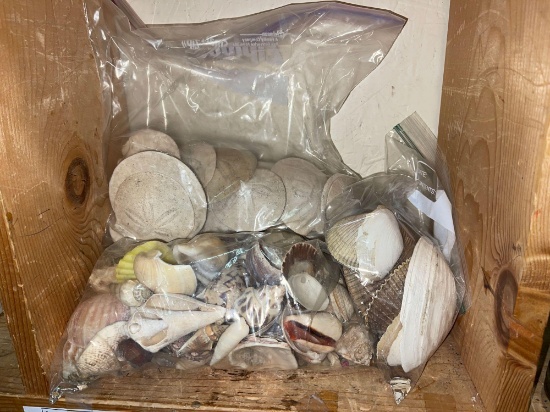 3 Bags of Shells