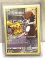 Pikachu Holo Pokemon Card