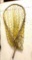 Large Handmade Fishing Net