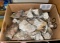 10 Lbs of Petrified Wood - found in 1940's