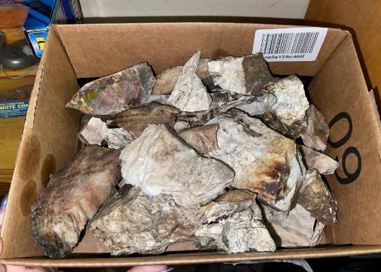 10 Lbs of Petrified Wood - found in 1940's