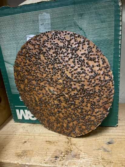 3m Coated 8" Abrasive Disks Assorted Grits