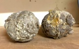 Two Thunder Eggs- 1940's Found in Washington