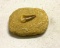 Maco Shark Tooth Found in Sand Stone at Shark Tooth Mountain in Bakers field, Ca