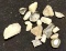 451 cts Raw and Polished Quartz Crystal- Ready for Jewelry Making