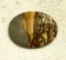 Highest Quality Picture Agate Cabeshan- Ready to be Put into a Bracelet