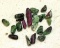 Natural Rubies From Zoisite Rocks Found in the Tanzania Also Known as Anyolite a Comb of 2 minerals