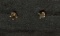 14k Gold and Onyx Earrings