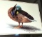 Frame Duck Picture 20