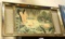Mid Century Flamingo Print Frame 33