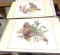 4 Masonite Placemats w/ Ratoon, Baby Bobcat, Baby Bears and Deer Fawn