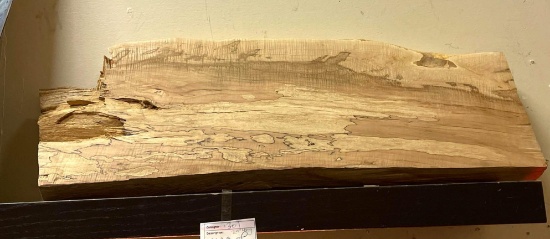 Slab of Burl Wood 29" Long