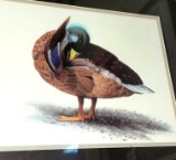 Frame Duck Picture 20