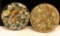 2 Mid Century Modern Trivets (Hot Plates) Shells Cathered from Divers from the Pacific Ocean Glass