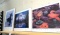 3 Lee Mann Signed Pictures