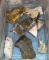 Pink Quartz, Petrified wood and more