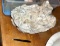 HUGE Quartz? Piece