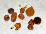 Natural Baltic Amber Cut for Jewelry Making
