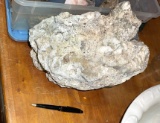 HUGE Quartz? Piece