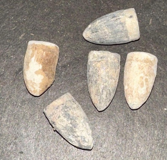 5 Civil War Relics .30 cal Confederated Army Rifle Bullets
