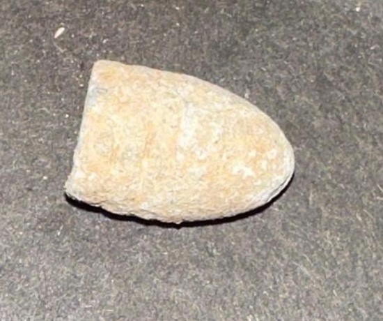 Civil War Relic .69 Cal 3 Ring Mini Ball Confederate