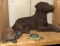 2 Turtles and Dog Figurine