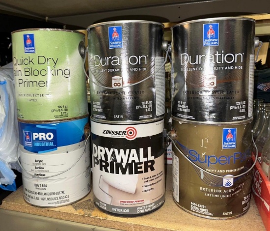 Lot of Paint/ Primer Lot