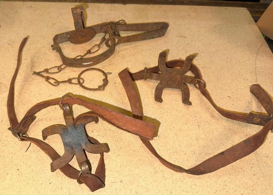 Antique Ice Cleats and Antique Varmint Trap