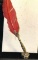 Ornate Silver Plate Pen and ink well with Red Feather and Additional Feathers