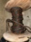 1/4 Spool of Rope