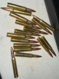 15 Rounds 30-06 Ammo