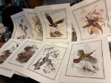 10 Vintage James Lockhart Lithographs of wild life 18