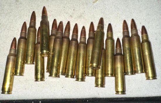 .223 Remington Ammo 18 Rounds