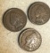 3 US Indian Head pennies 1906, 1907 and 1901