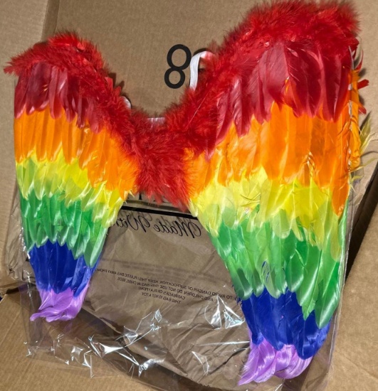 NIB Pridemyx Rainbow Angel Wings