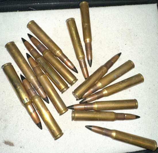 30-06 Ammo- 15 Rounds