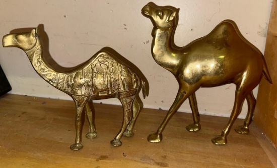 2 Heavy Brass Camels - 10" & 8" Tall