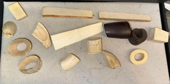 15 Specimens of Old Mastodon or Mammoth Ivory