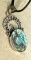 Abalone Shell 2