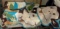 Monkey Bathroom Set- 2 Rugs, 2 Bath Towels, hand towel, Cup and Toothbrush holder
